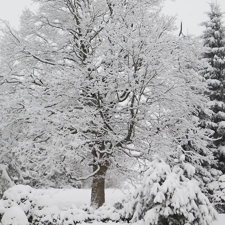 Chata U Lesa Výprachtice Exterior foto